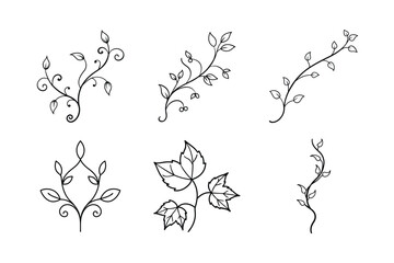 set of floral elements vector illustration
