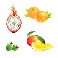 Isolated watercolor fruits set on a transparent background: pitaya, orange, feijoa, mango