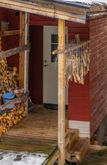 Dried stockfish hangs in front of the entrance door of a traditional red house in Troms on the island of Senja, Norway. Fisherman at home