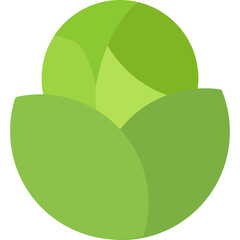 Cabbage Icon
