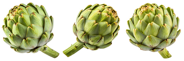 Three fresh artichokes isolated on transparent background, a healthy and tasty food