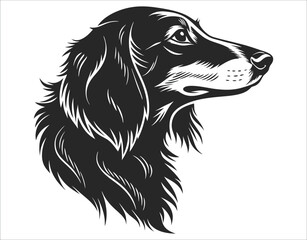 Dachshund Heads — Side and Tilted View