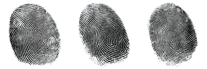 Three fingerprints isolated on transparent background for security and identity
