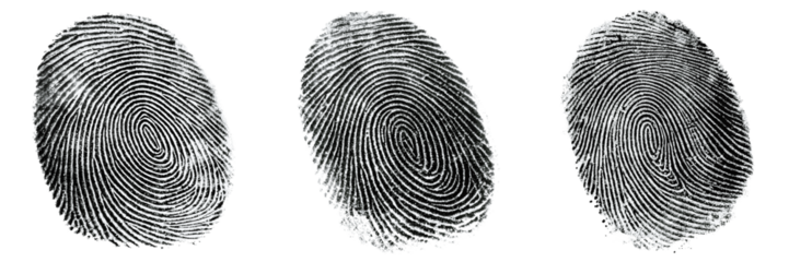 Three fingerprints isolated on transparent background for security and identity
