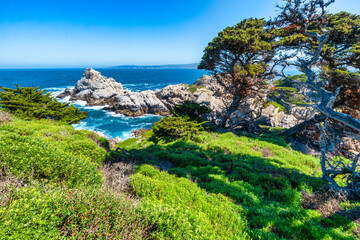 Point Lobos State Natural Reserve in California USA features turquoise waters, rugged cliffs, and vibrant coastal vegetation under a clear sky.