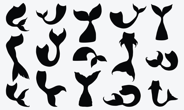 Fish Or Mermaid Tail Silhouette Vector, Vector Illustration Of Fish Or Mermaid tail Black Silhouette
Are, Mermaid Tail Design Isolated On White Background. 