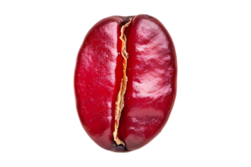 Macro photography of a roasted coffee bean, split open to reveal its inner texture.  Rich color and detail showcase the essence of coffee.