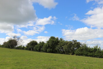 Hergest ridge in the UK