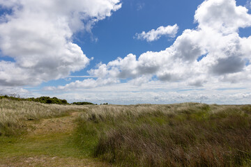 Landscape of the nature reserve 'Kobbeduinen' on the Dutch Wadden Island of Schiermonnikoog