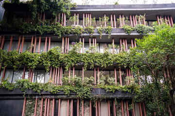 Green facade with dense vertical garden and wooden panels in Mexico City, captured from a frontal low angle with natural light for sustainability and architectural eco-design themes.