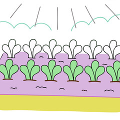 Colorful illustration of leafy greens growing under sunlight in a garden  