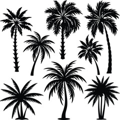 palm tree silhouettes