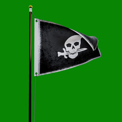 Pirate flag  isolated  on green background