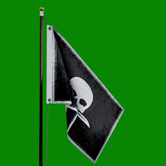 Pirate flag  isolated  on green background