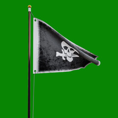 Pirate flag  isolated  on green background