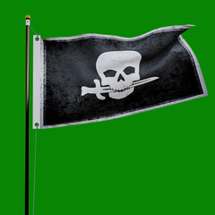 Pirate flag  isolated  on green background