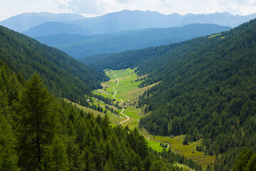 Peaceful view of green valley and forest-covered mountains in the Dolomites