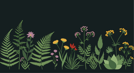 Obraz premium Stylish Flat-Lay Botanical Illustration Minimal Vector Illustration Dark Background Floral Border with Ferns, Yellow and Pink Flowers
