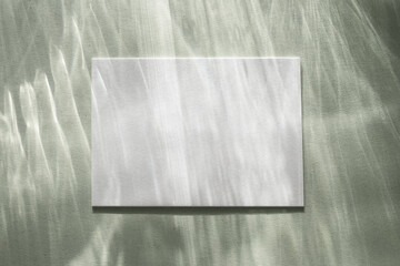 Clean paper card with sunlight shadows on glare green background. Natural abstract aesthetic mockup...