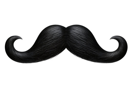   black curly mustache beard isolated on white background PNG 