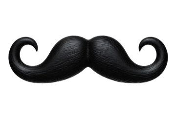   black curly mustache beard isolated on white background PNG 