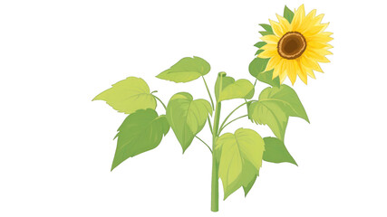 Fototapeta premium Vibrant sunflower plant illustration against a black background.