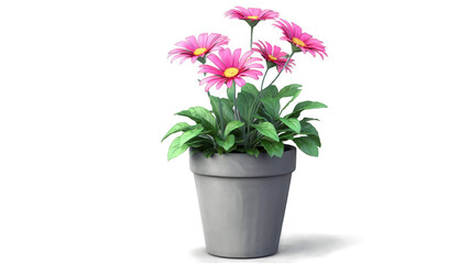 Pink flowers in a dark gray pot.