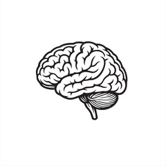 human brain vector illustration
