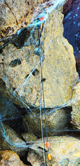 Fishing net torn at sea. Net on rocks. 
Sea fishing in summer. Background.