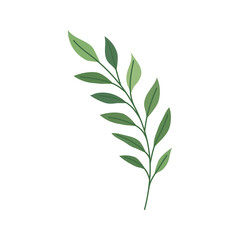 Obraz premium Nature's Delicate Whispers: A gentle sprig of fresh green leaves, rendered in vibrant hues, exudes a feeling of calm, and peaceful in this simple vector design.