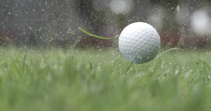 Unsuccessful Golf club hits a golf ball in a super slow motion. Drops of morning dew and grass particles rise into the air after the impact. Shot on super slow motion camera 1000 fps.