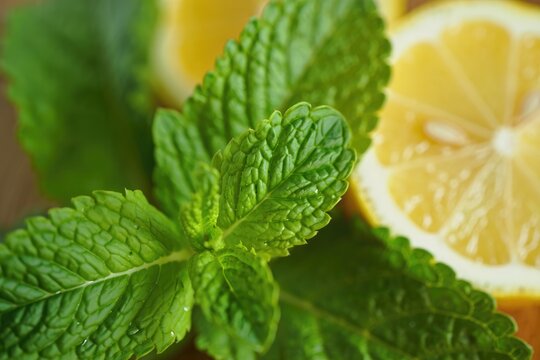 A refreshing close up shot featuring fresh mint leaves and lemon slices. - Powered by Adobe