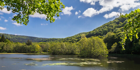 Obraz premium the wooded banks of Lake Picades, in Aubrac
