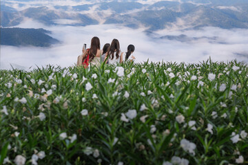 Tourists enjoy the beautiful view of Mon Cham Mountain and Resort, morning fog in the rainy season at Mae Rim, Chiang Mai, Thailand.
