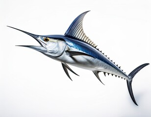 Blue Marlin Fish Isolated on White Background – High Detail Marine Wildlife Image