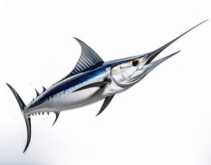 Blue Marlin Fish Isolated on White Background &ndash; High Detail Marine Wildlife Image