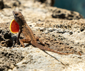 Travel and sights to see