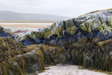 A coastal landscape with colorful rocks seaweed and sand