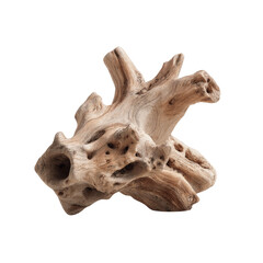 Intricate Driftwood Sculpture A Unique Natural