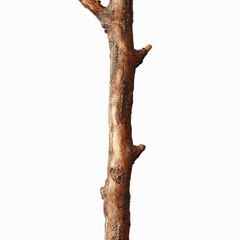 Naklejka premium Single Brown Wooden Branch on Gray Background -