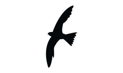 Flying Alpine swift bird Silhouette Design  And Vector Illustration. 