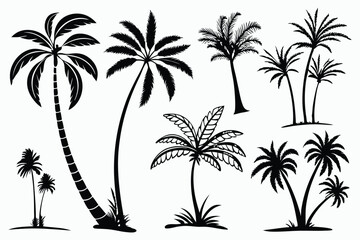Palm tree shapes in various styles – tropical landscape and paradise decoration