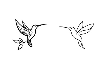 Elegant outline illustrations of two flying hummingbirds with detailed wing designs