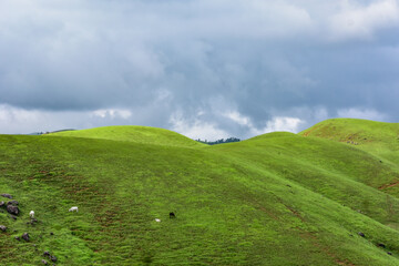 Rolling green hills and dense forests stretch towards a cloudy sky, showing rural landscape of...