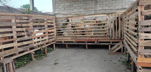 Fototapeta premium Traditional and Simple goat stables made of wood 