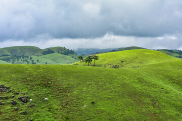 Rolling green hills and dense forests stretch towards a cloudy sky, showing rural landscape of...