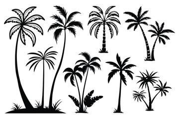 set of palm trees silhouettes vector design isolated on white background