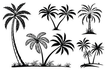 Palm tree shapes in various styles – tropical landscape and paradise decoration
