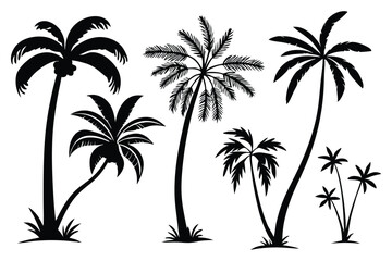 set of palm trees silhouettes vector design 