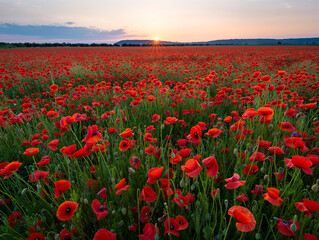 A vast field filled with bright red poppies stretches across the landscape as the sun sets, creating a serene and picturesque view. Generative AI.